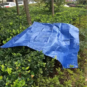 Tarpaulin kundenspezifisch Autoabdeckung wasserdichte Leinwand gewebte Blätter einfarbige wasserdichte Leinwand für Auto Überwurf Tarpa Abdeckung Fisch HDPE UK X 40