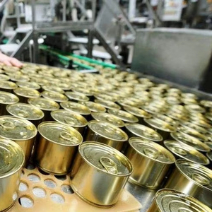 Piña vietnamita enlatada premium en trozos o rodajas - Product Image 2