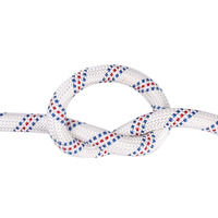 Corde en polyester tressée professionnelle R&T, capacité de 3000 kg, résistance à la rupture de 5500 kg, anneau en D en acier, diamètre de 8 à 12 mm, résistance à la chaleur et à l'usure