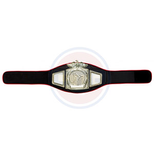 เข็มขัดแชมป์เฮฟวี่เวทสำหรับนักมวยปล้ำรุ่นแท็กโลกออกแบบได้ตามต้องการ - Product Image 2