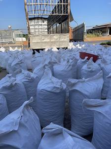 JENGIBRE SECO DE VIETNAM, ENTERO, DESHUECADO Y REBROZADO, 100% NATURAL, RAÍZ DE JENGIBRE, ESPECIAS PICANTE PARA COCINAR Y TÉ, ALTA CALIDAD - Product Image 4