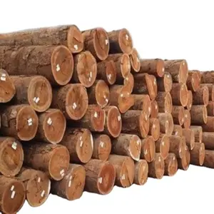 최저 가격 저렴한 소나무/목재/유칼립투스/자작나무/너도밤 나무/티크/참나무 목재 통나무 전세계 배송 판매