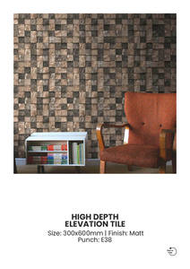 Carreaux muraux en porcelaine 300x600mm, finition extérieure - Product Image 4