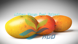 Suministro Directo de Fábrica HGO de Extracto Puro y Natural de Semilla de Mango Africano, Especificación de Grado Alimenticio, Relación de Extracción 5:1 10:1 20:1 - Product Image 2
