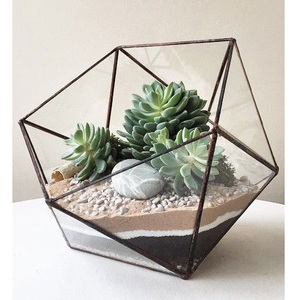 Terrarium décoratif en verre transparent de qualité de luxe pour le jardin et la maison, cadre en fer, meilleurs prix raisonnables - Product Image 5