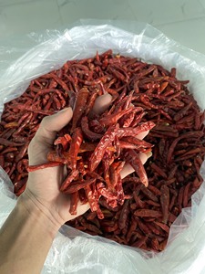 Chiles rojos secos de Vietnam, proveedor de exportación a granel, Chile entero natural de grado alimenticio para condimentos industriales - Product Image 4