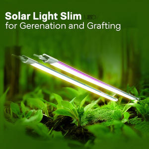 Lampe Solaire LED Slim 3500K Blanc Chaud 1200lm 150lm/W 12V IP65 pour la Germination - Product Image 3