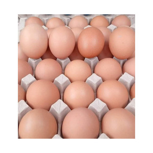 Huevos marrones premium ofrecidos para comercio de calidad exportable y distribución a gran escala - Product Image 5