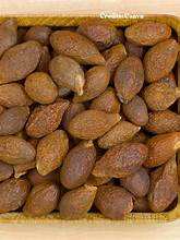 NUECES DE MALVA SECOS PREMIUM ETIQUETA LIMPIA A BASE DE PLANTAS SUPERALIMENTO DE HIERBAS - Product Image 4