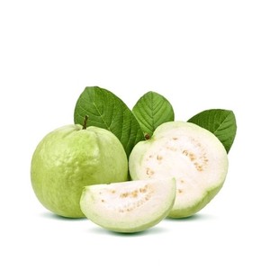 สารสกัดผงฝรั่ง (เกรดอาหาร) ปลูกแบบธรรมชาติ สำหรับอาหารและเครื่องดื่มเพื่อสุขภาพ ขายส่ง ผู้ผลิตแบบ OEM จากประเทศไทย - Product Image 3