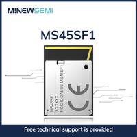 NRF5340 MS45SF1 Module IoT BLE sans fil longue portée Zigbee Thread USB Wearable Device BlueTooth 5.1 Module