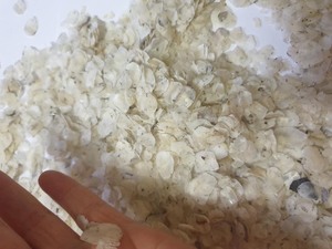 Opción perfecta para hacer colágeno-Escamas de pescado seco escamas de pescado seco carpa para Producción/Bella - Product Image 3