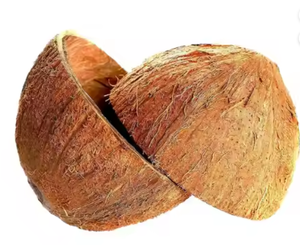 2025ขายเปลือกมะพร้าว100% เปลือกมะพร้าวธรรมชาติที่มีคุณภาพสูงจากผู้ผลิตในเวียดนาม - Product Image 1