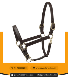 Holesale: se puede ajustar a la estabilidad, se puede cambiar entre 2022 y - Product Image 4