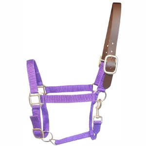 Nouveau 2025 Cheval Halter Nylon Halters PP Cheval Halters Horse Head Colliers - Product Image 2
