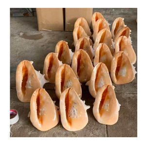 Lujosas conchas marinas decorativas para bodas costeras de arte DIY y proyectos artesanales únicos hechos a mano - Product Image 1