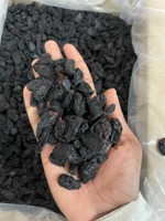 Raisins noirs indiens sans pépins, exportateur en gros, vente en gros B2B