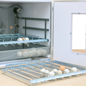 Incubatrice automatica Made in Italy di alta qualità 196 uova di gallina Mini PRO 196 D - Product Image 3