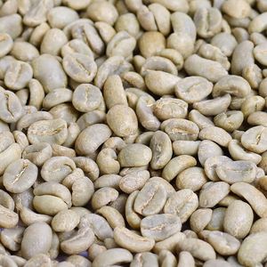 Premium OEM 100% Arabica/Robusta Roasted Coffee <b>Beans</b> High Quality Private Label Vietnamese Whole <b>Bean</b> Coffee <b>Bags</b> Roastery - Product Image 6