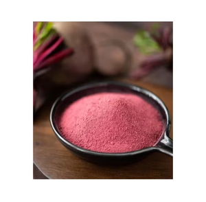 Poudre de Betterave Biologique Extrait Végétal Ingrédient Superalimentaire en Vrac 99% Qualité Alimentaire en Contenant Plastique et Fût - Product Image 4