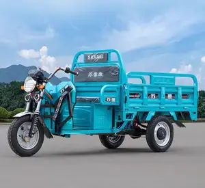 Schlussverkauf Trike Cargo Kraftstoff Benzin motorisiertes Dreirad Led Werbewagen mit niedrigem Preis