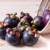 Hoogwaardige verse mangosteen - Vietnamees tropisch fruit voor export en groothandel