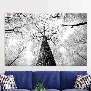 Arte Impreso en Lienzo: Decoración de Pared con Diseño de Bosque, Decoración Rústica, Lienzo Enrollado - Product Image 1