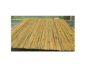 Хорошее качество натуральный сильный бамбуковый тростник вьетнамского происхождения экологически чистый