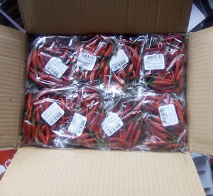 Chile caliente verde fresco de Vietnam para uso en cocina e industria alimentaria, material picante natural - Product Image 3