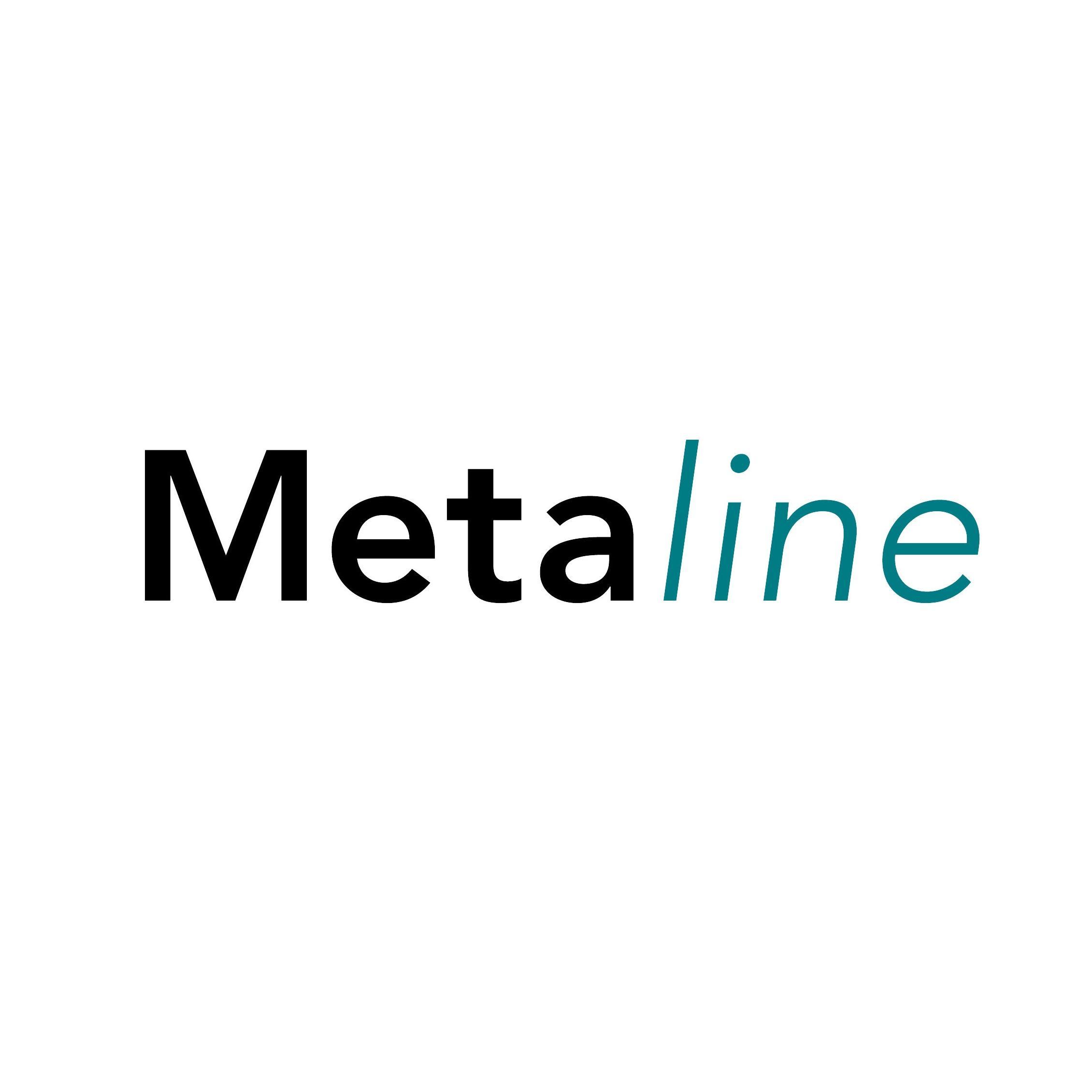 METALINE sp. z o.o. logo