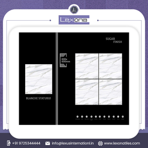 Collection de carreaux de sol en céramique de qualité standard 600x600mm pour la cuisine ou le jardin fabriqués par un fournisseur fiable - Product Image 3