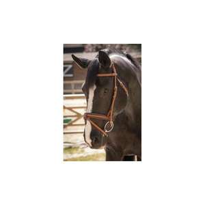 Brida de cuero de caballo de alta calidad al por mayor precio al por mayor - Product Image 6