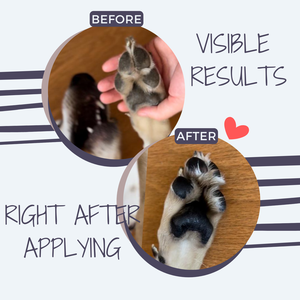 100% טבעוני כלב טבעי לכלב האף מזור בריאות לחיות מחמד & תוספת כי לחות תנאים מקל על רפידות סדוקות יבש - Product Image 5