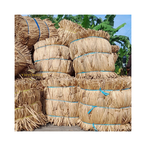 Fibra de Jacinto de Agua Cruda Ecológica, Fibra Natural Sostenible, Suministro a Granel para Exportación - Product Image 2