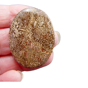 หินสตาร์เบิร์สหินจัสเปอร์หินธรรมชาติหินอัญมณีบำบัดหินควอตซ์แกะสลักหินโมราคริสตัลหินปาล์ม - Product Image 4