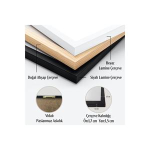 Pittura di arte moderna del fiore motivi colorati astratti incorniciati laminato nero