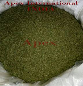 Hojas de Stevia Cortadas en T, Hojas de Stevia Cortadas en T con 24 Meses de Vida Útil, Hechas en India (Rajasthan), Proveedor a Granel - Product Image 2