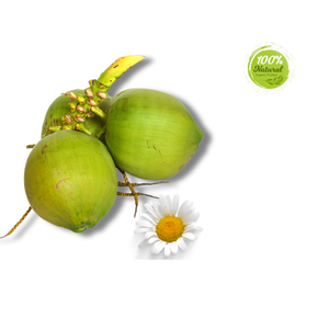 Les défis liés à l'exportation et à l'importation de la jeune coquille de noix de coco fraîche sont particulièrement préoccupants dans l'industrie - Product Image 3