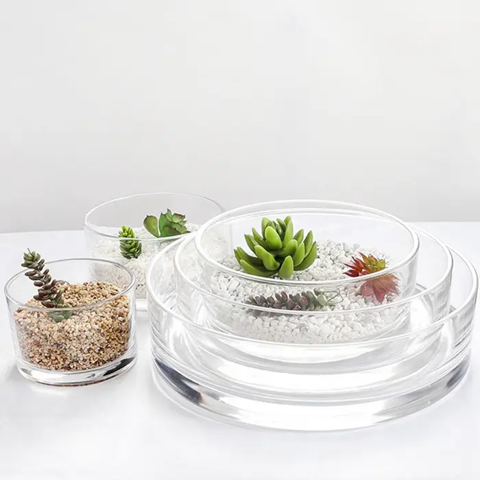 Vaso idroponico a tazza diritta in vetro addensato pressato per diametro del vaso di fiori succulenti