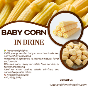 Vente en gros Marque privée Maïs en conserve en saumure sel conservé et emballé sous vide avec traitement de pelage - Product Image 3