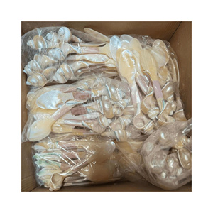 Natural shell Conch Spoon exported from Vietnam for hotel restaurant tables and seafood event Conch Spoon setups with good offer - Product Image 5