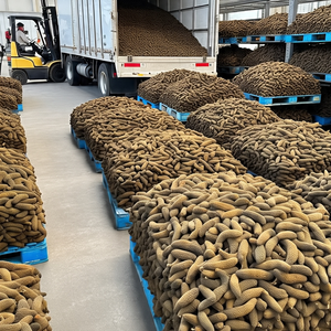 ปลิงทะเลสีดำมีแคลอรี่ต่ำ25ตันแตงกวาทะเล15kgs สั่งติดฉลากได้ตามต้องการ - Product Image 4