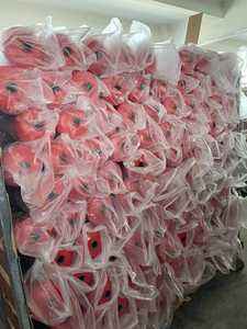 Toptan Dayanıklı Taşınabilir ABC Kuru Tozlu Yangın Söndürücü Tüpü Farklı Boyutlarda - Product Image 5