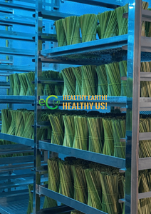 หลอดหญ้าเวียดนามและผู้ขายสุดฮอต2025!! หลอดหญ้าแบบใช้แล้วทิ้งสำหรับเครื่องดื่มจาก Eco2go เวียดนาม - Product Image 2