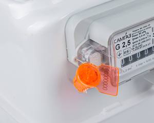 Capuchon de sécurité CLIXAR avec fonction de fermeture à vis (modèle Twisteiro) pour compteurs, armoires, conteneurs, plage de température -50C +120C - Product Image 5