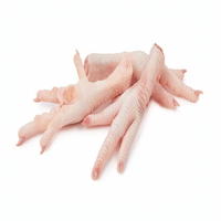 Pieds de poulet congelés de haute qualité et pattes de poulet halal pour l'approvisionnement alimentaire international