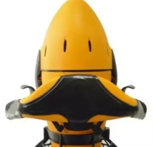 MEILLEURE qualité édition limitée PRO scooter d'eau de mer haute qualité 600w puissance personnalisable OEM et ODM Support - Product Image 1