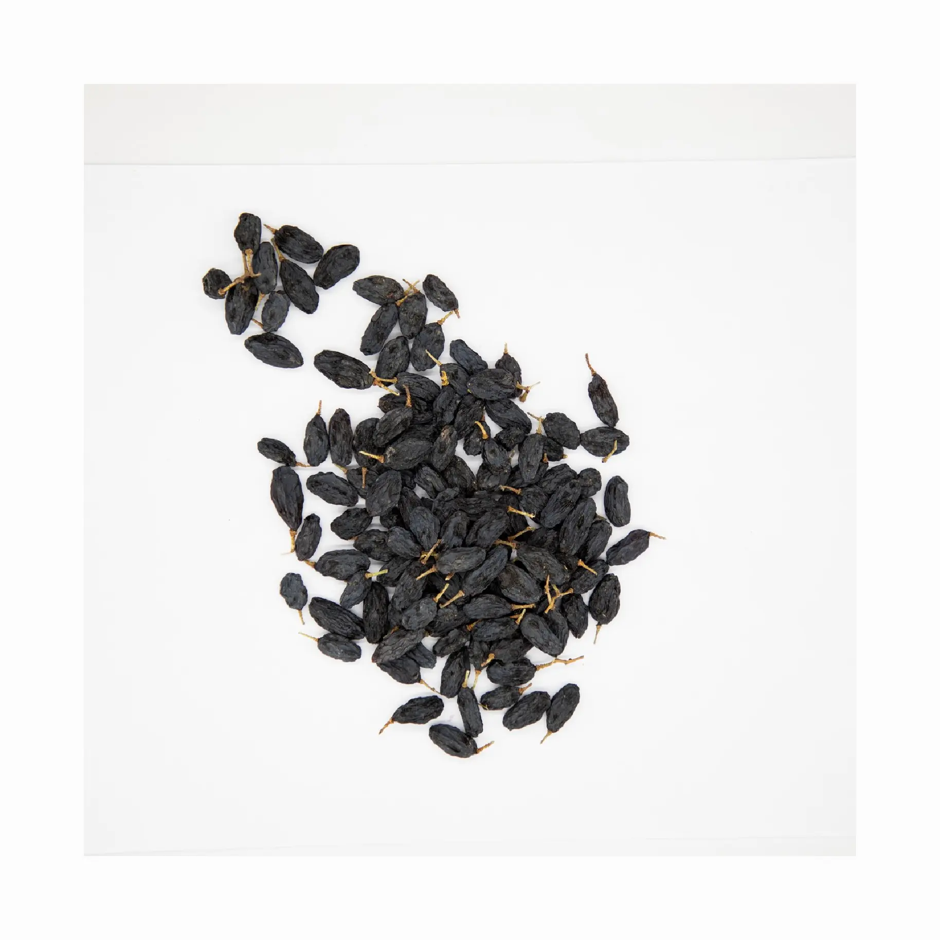 Raisins noirs séchés à l'ombre (100-120) Vente en gros de raisins secs naturels en vrac Raisins secs noirs hybrides purs pour la nourriture Fruits secs sains