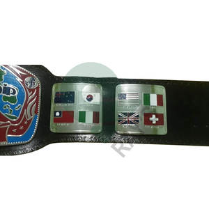 Ceintures de championnat de lutte Trophées Médailles et récompenses le symbole ultime de la victoire et de l'excellence Ceintures de championnat - Product Image 4