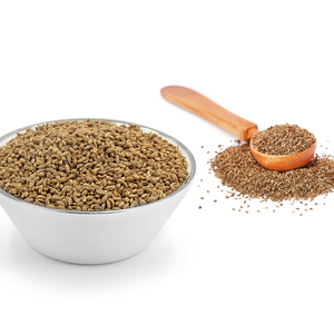 Poudre de carambole prête | Premium Ajwain pour les unités de broyage - Product Image 3